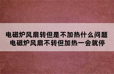 电磁炉风扇转但是不加热什么问题 电磁炉风扇不转但加热一会就停